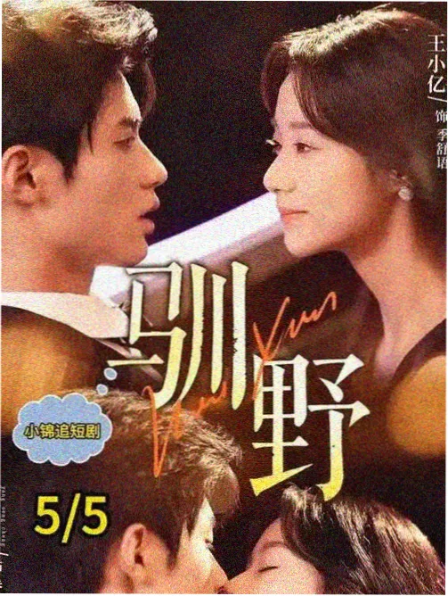 鸡爪槭掌状五裂叶片高清详档,枫叶树图片放大样张